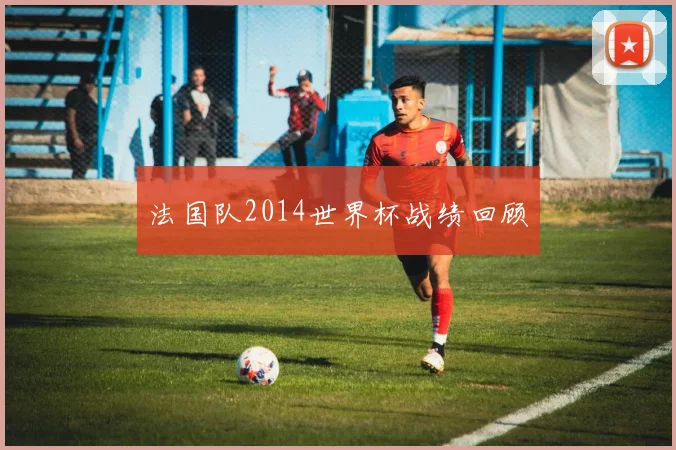 法国队2014世界杯战绩回顾