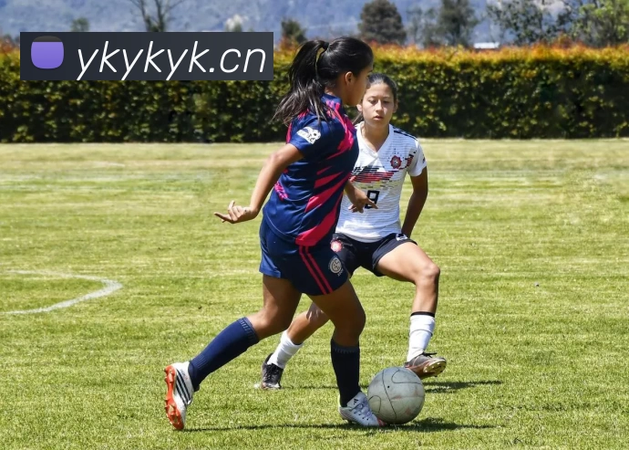 App Interface Preview